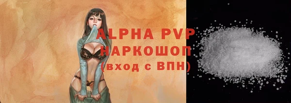 соль ск Рославль