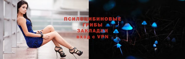 Альфа ПВП Елабуга