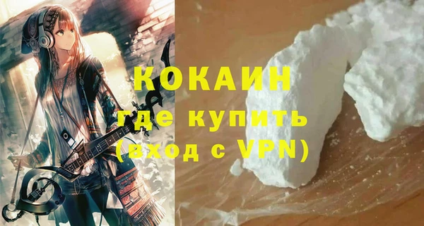 спиды Ельня