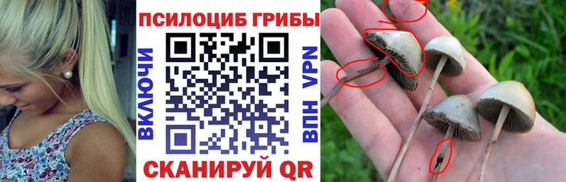 Галлюциногенные грибы ЛСД дарнет шоп Абинск